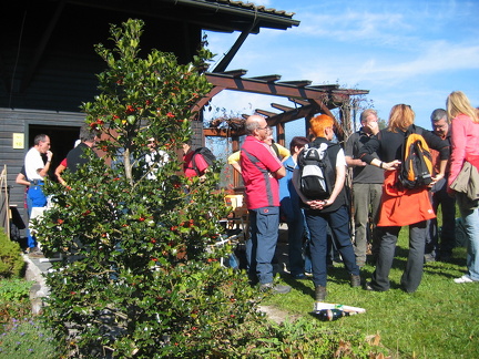 IMG 4525