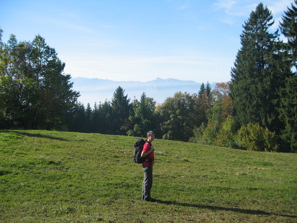 IMG 4531
