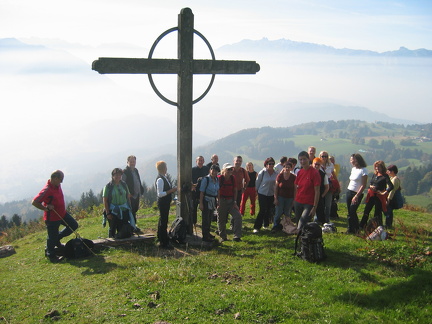IMG 4537